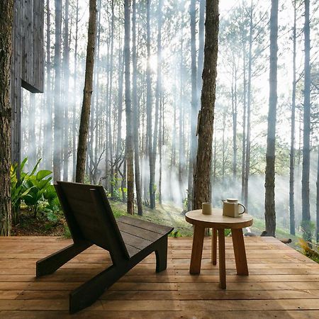 Mo Stay - Forest Resort Đà Lạt Extérieur photo