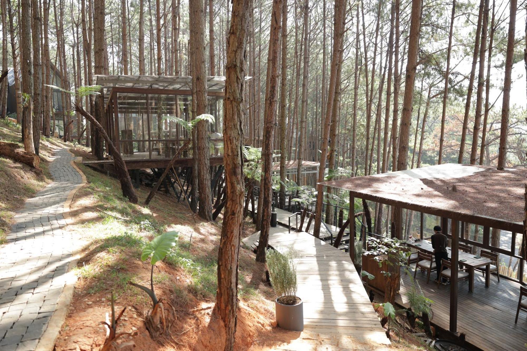 Mo Stay - Forest Resort Đà Lạt Extérieur photo