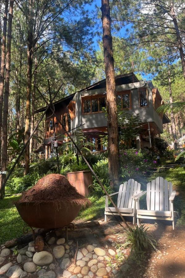 Mo Stay - Forest Resort Đà Lạt Extérieur photo