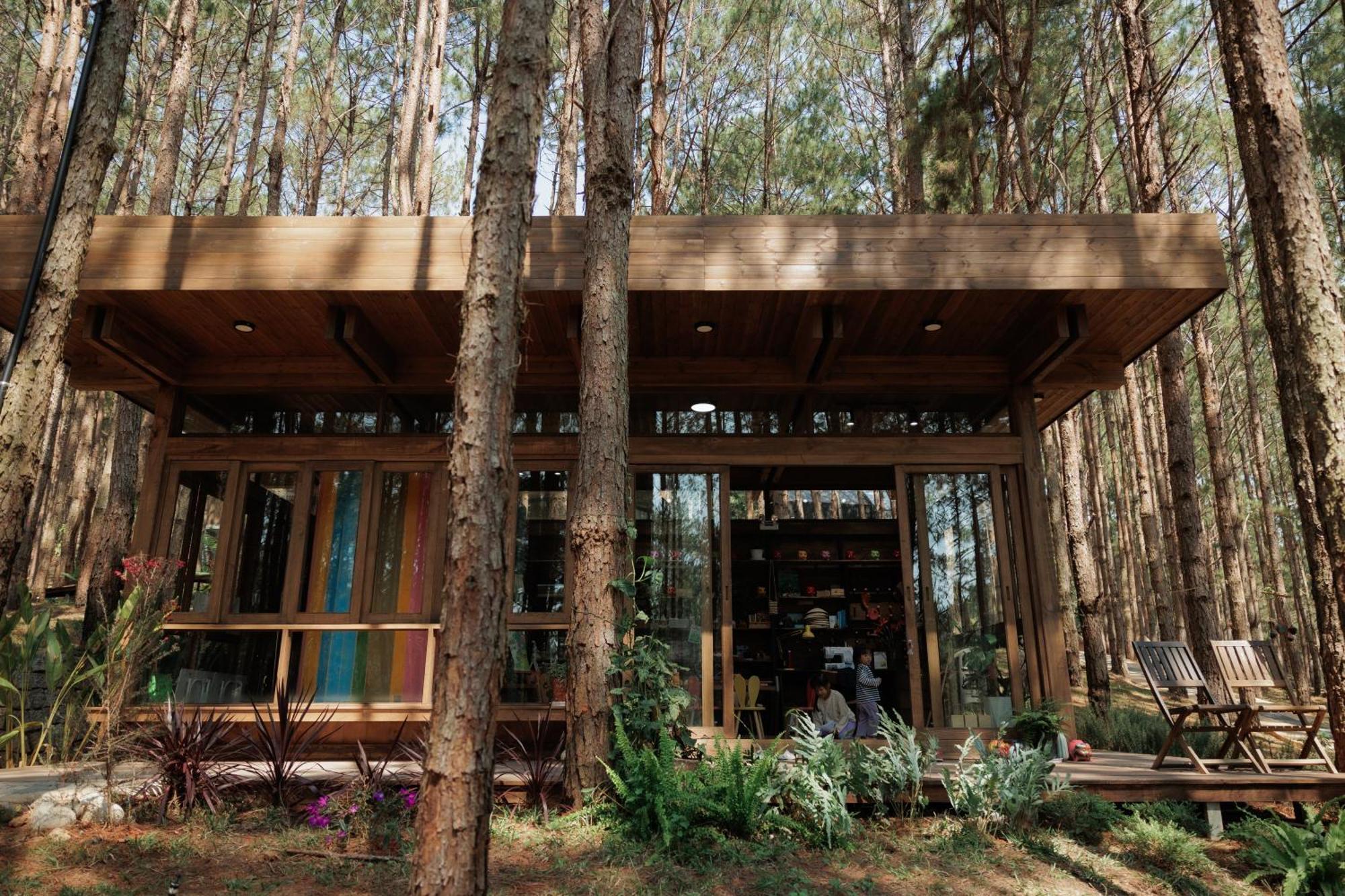 Mo Stay - Forest Resort Đà Lạt Extérieur photo