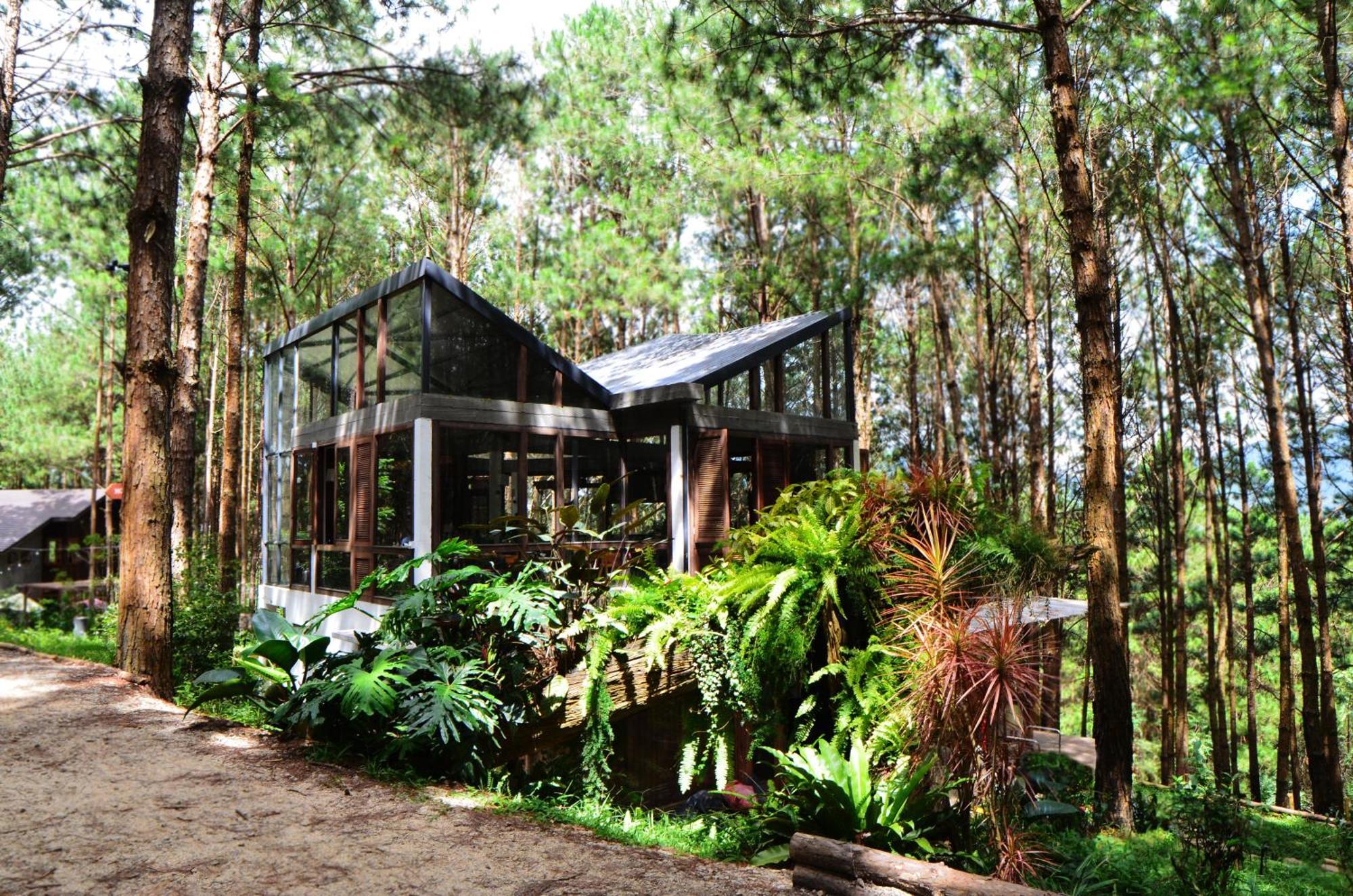 Mo Stay - Forest Resort Đà Lạt Extérieur photo