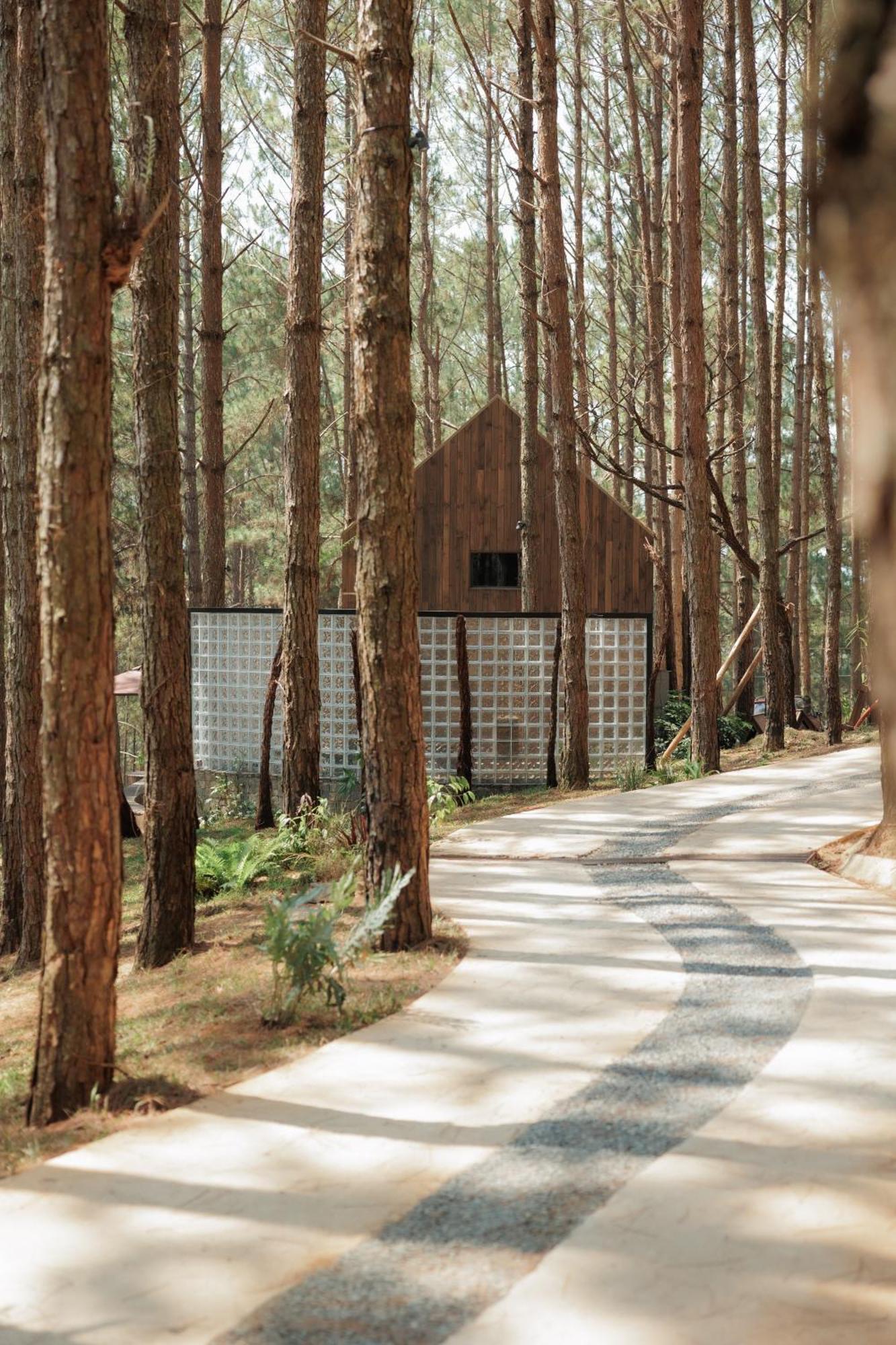 Mo Stay - Forest Resort Đà Lạt Extérieur photo