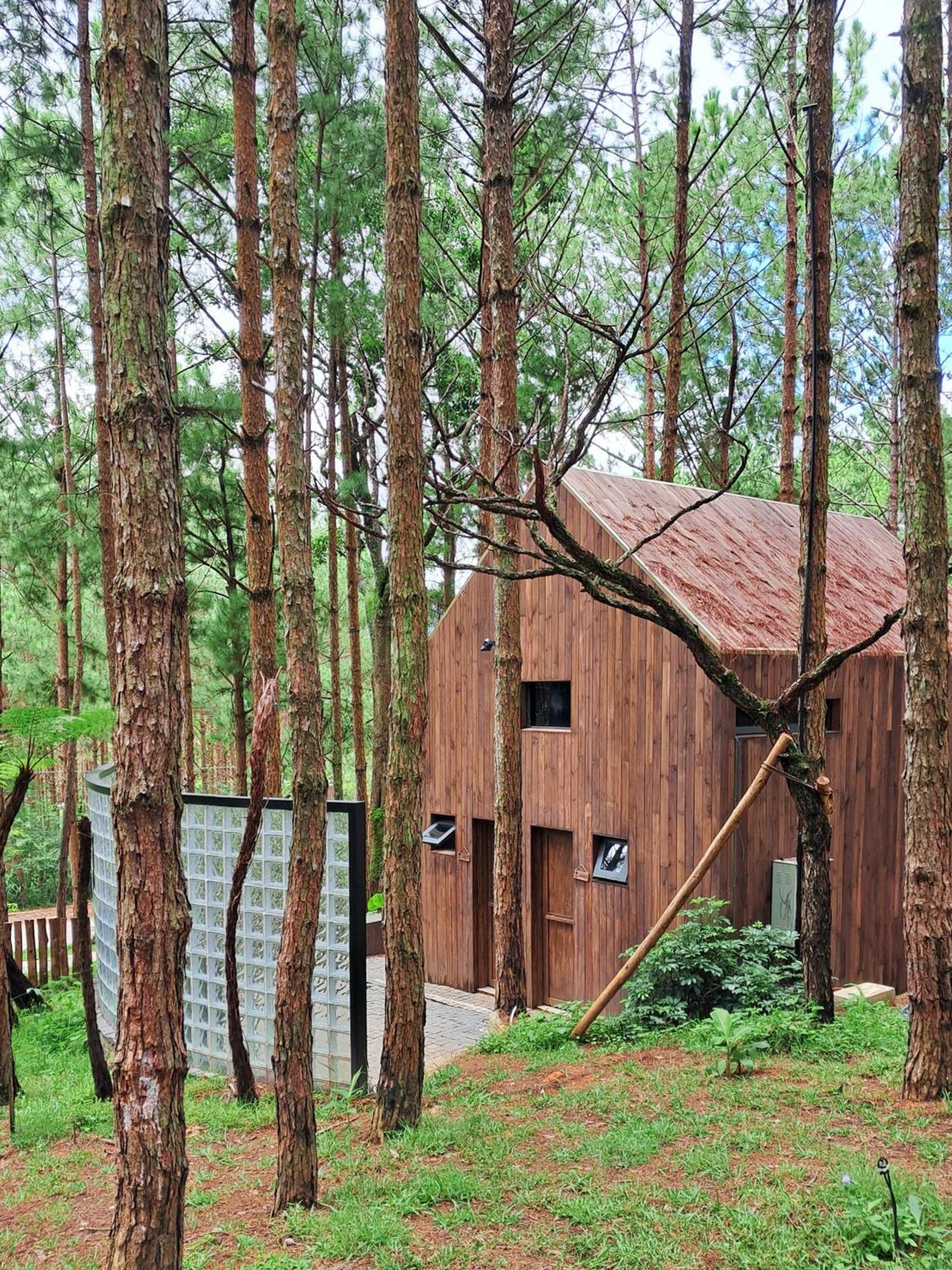 Mo Stay - Forest Resort Đà Lạt Extérieur photo