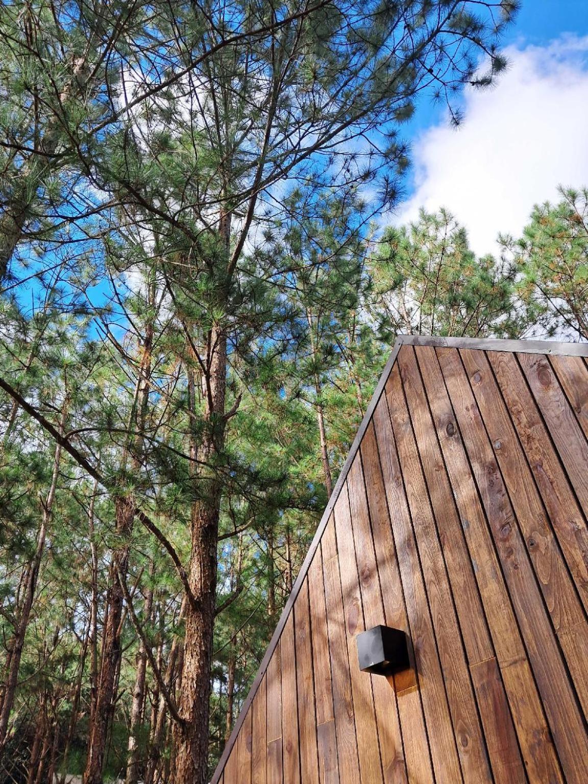Mo Stay - Forest Resort Đà Lạt Extérieur photo